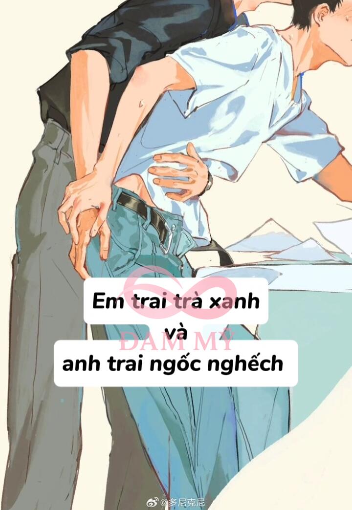 Em trai trà xanh và anh trai ngốc nghếch