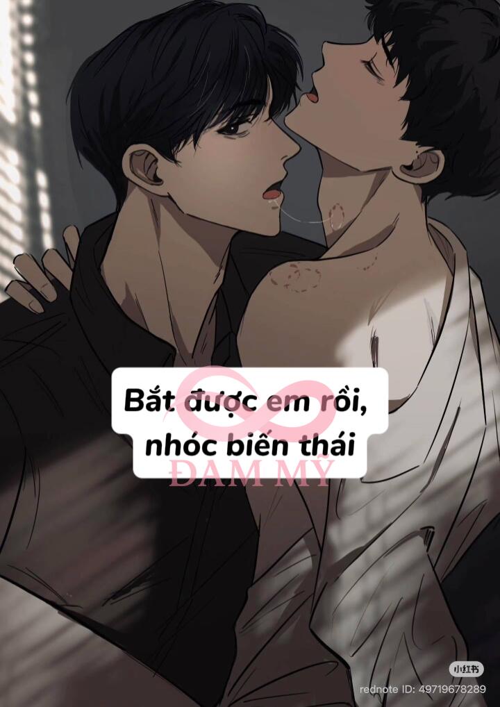 Bắt được em rồi, nhóc biến thái