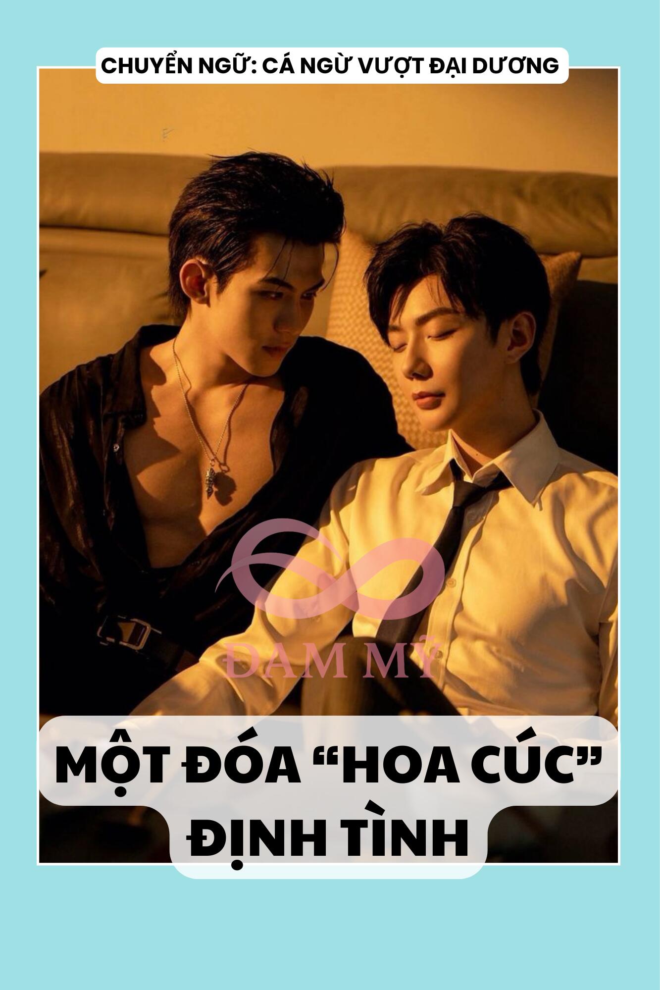MỘT ĐÓA “HOA CÚC” ĐỊNH TÌNH