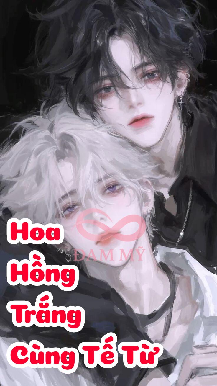 Hoa Hồng Trắng Cùng Tế Từ