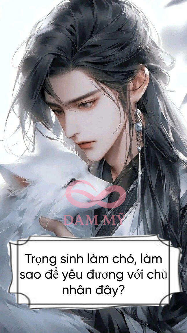 Trọng sinh làm chó, làm sao để yêu đương với chủ nhân đây?