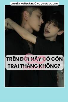 TRÊN ĐỜI NÀY CÓ CÒN TRAI THẲNG KHÔNG