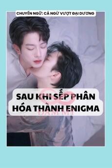 SAU KHI SẾP PHÂN HÓA THÀNH ENIGMA