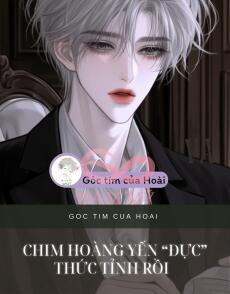 CHIM HOÀNG YẾN “ĐỰC” THỨC TỈNH RỒI