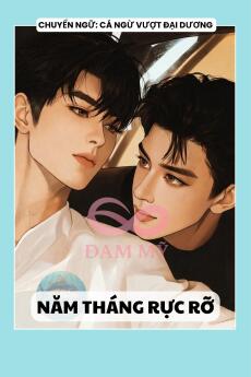 NĂM THÁNG RỰC RỠ